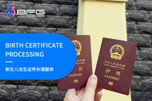 马来西亚代孕生子新生儿出生证件护照旅行证办理服务