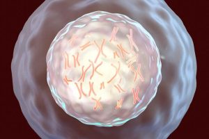 冻卵的最佳年龄和风险