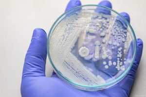 冻卵后卵子存储与转运：香港、马来西亚与美国的安全性对比