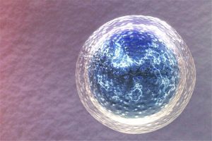 单身女性冻卵费用和流程