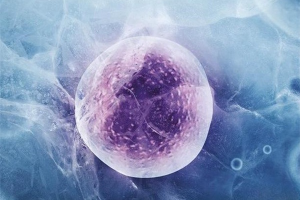 写给犹豫不决的你：为什么单身女性更应尽早冻卵？